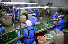 2026-4-14 16-12-33.png