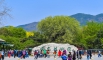 2022年4月18日，国家植物园正式揭牌，游客在入口刻有名字_105373.jpg