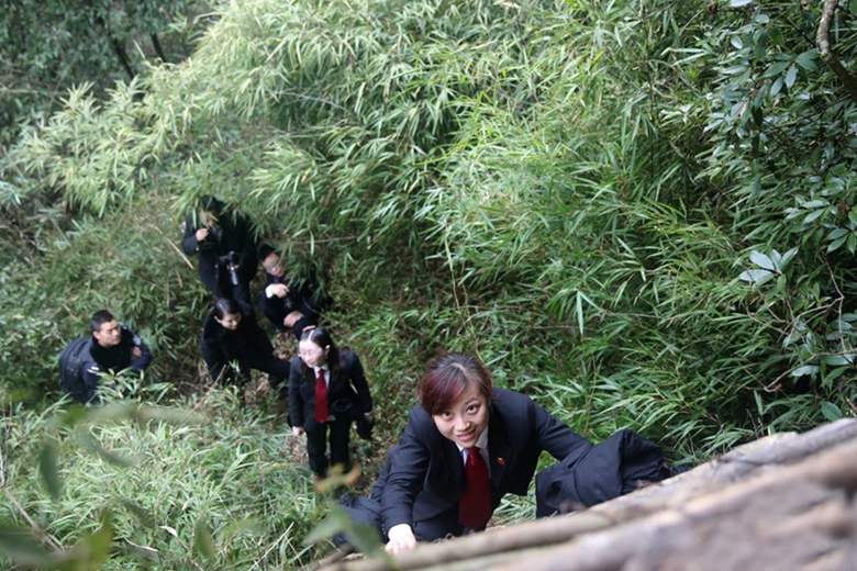 山巅梯子.jpg