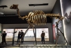 迄今所见地球历史上最大的骆驼——金远洞巨副驼的骨架。_107300.jpg