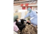 2月14日，武汉体育中心方舱医院，江苏医疗队的护士为患者测量体温。 （湖北日报全媒记者 柯皓 摄）.jpg