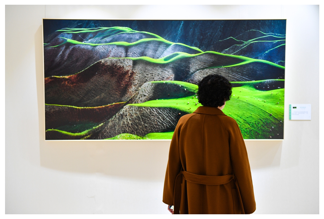 一位观众正在欣赏一幅反映伊犁喀拉峻大草原的风光摄影作品_089851.jpg
