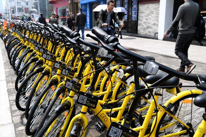 ofo bike cost