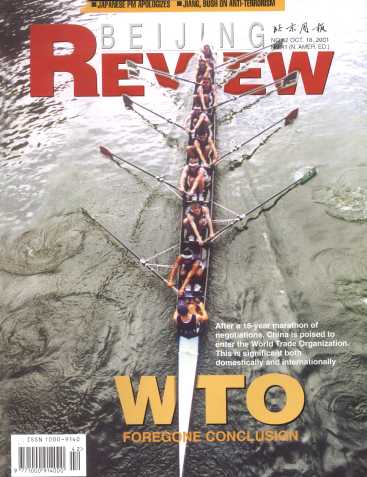 WTO1.jpg