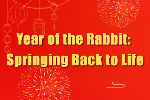 Year of the Rabbit: Springing Back to Life
