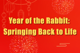 Year of the Rabbit: Springing Back to Life