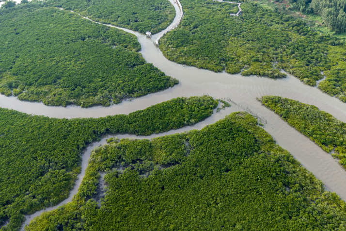 W020260807606962780086.jpg