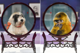 1984年张美芳、冯丽亿绣制的双面三异绣《金丝猴和哈巴狗》，同一个扇面一面是金丝猴另一面是哈巴狗。.jpg