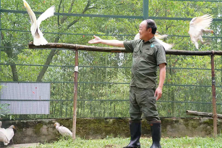 Liu Yi: A 40-year date with the crested ibis-- Beijing Review