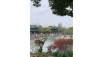 3-1_114933.jpg