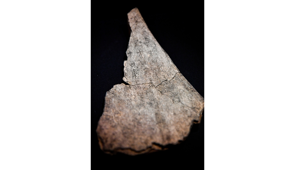 商代武丁时期的甲骨，上面的甲骨文依然清晰可辨。_113931.jpg