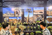 观众在一家专门从非洲地区引种植物的参展展台参观.jpg