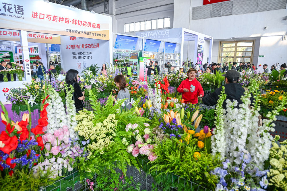 展览现场展示的各类观赏花卉.jpg