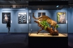 展览中陈列的一只雪豹标本_104133.jpg