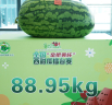 0302AN59.jpg