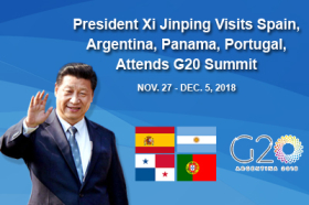 G20